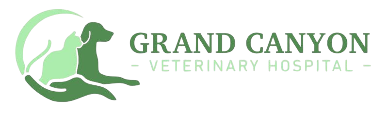 Grand Canyon Veterinary Hospital Home